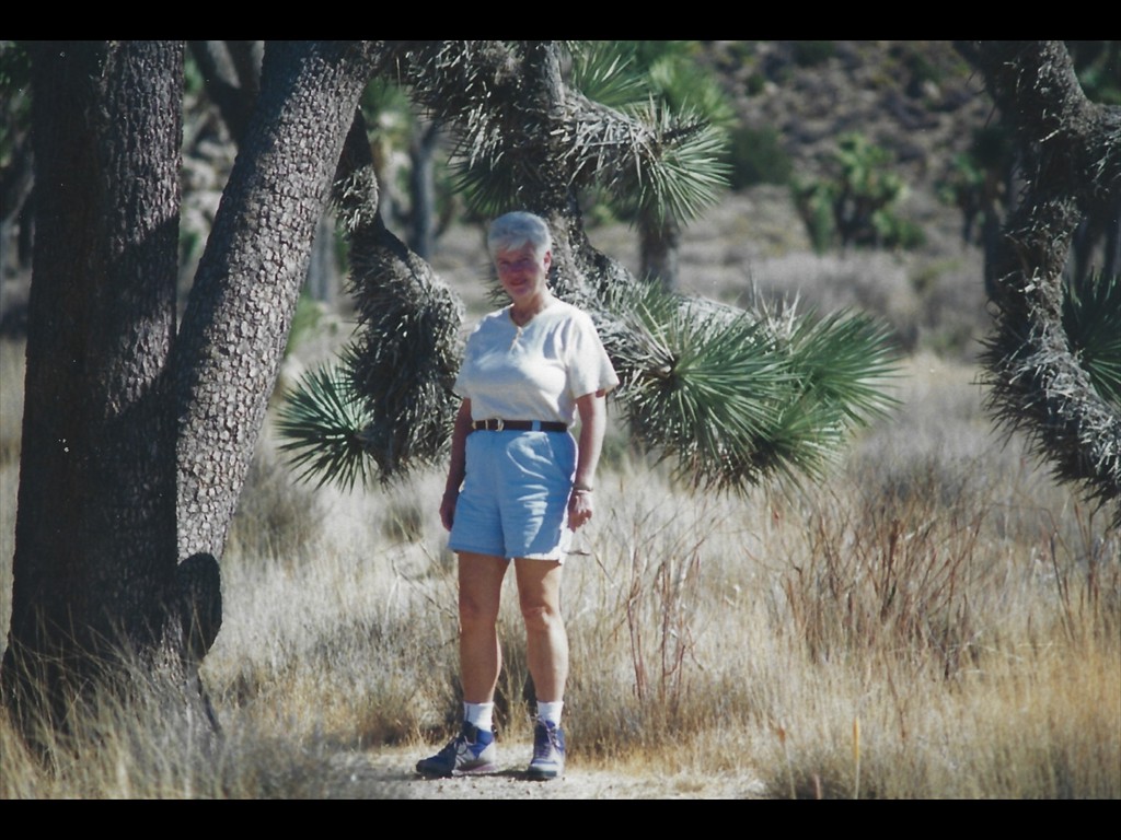 N50 Desert 95 Hiker