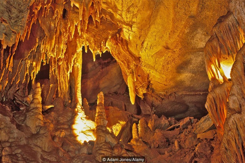 Mammoth Cave