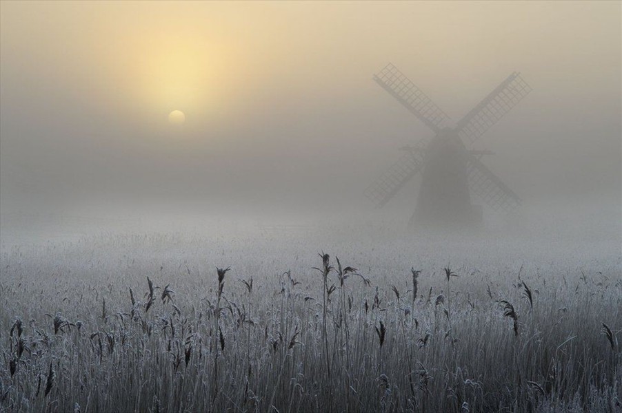 Freezing Fog And Hoarfrost