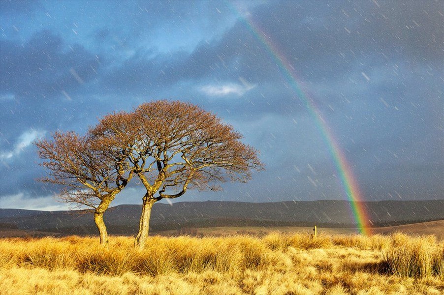 Golden Rainbow Scene